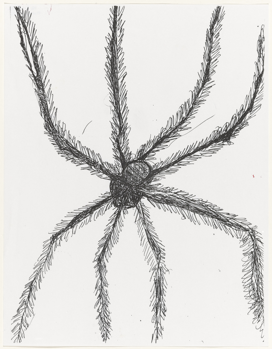 Louise Bourgeois. Untitled (Study for Hairy Spider). 2001