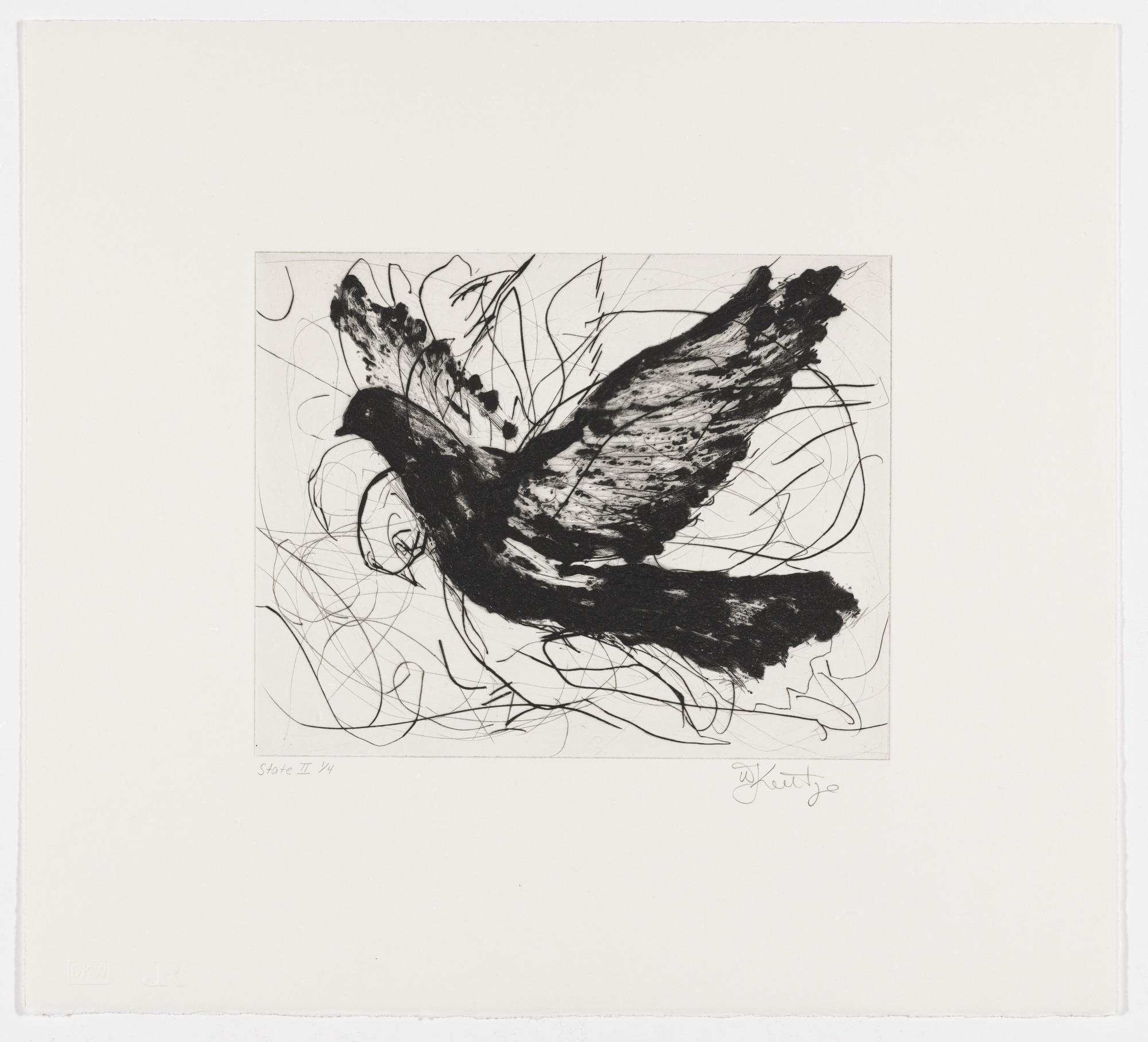 William Kentridge. Magic Flute: Dove, state II