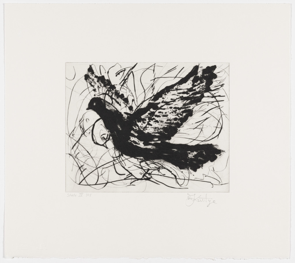 Magic Flute: Dove, state IV