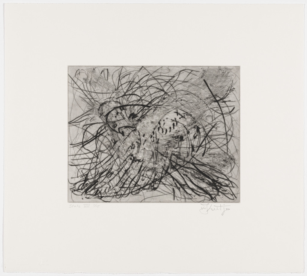Magic Flute: Dove, state VII