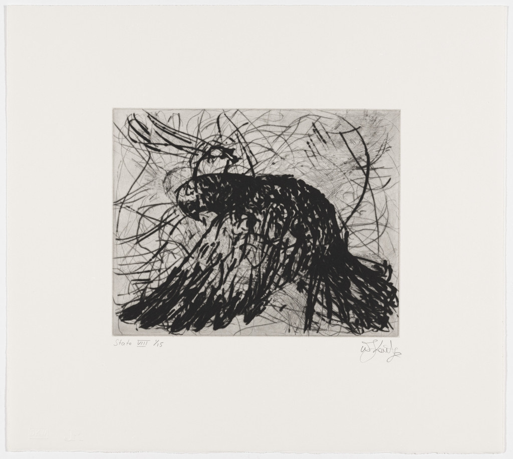 Magic Flute: Dove, state VIII