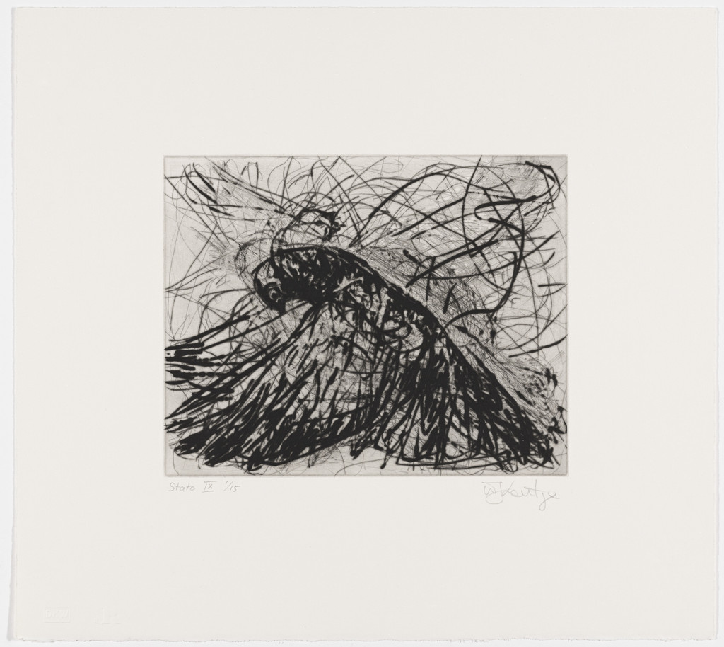 Magic Flute: Dove, state IX