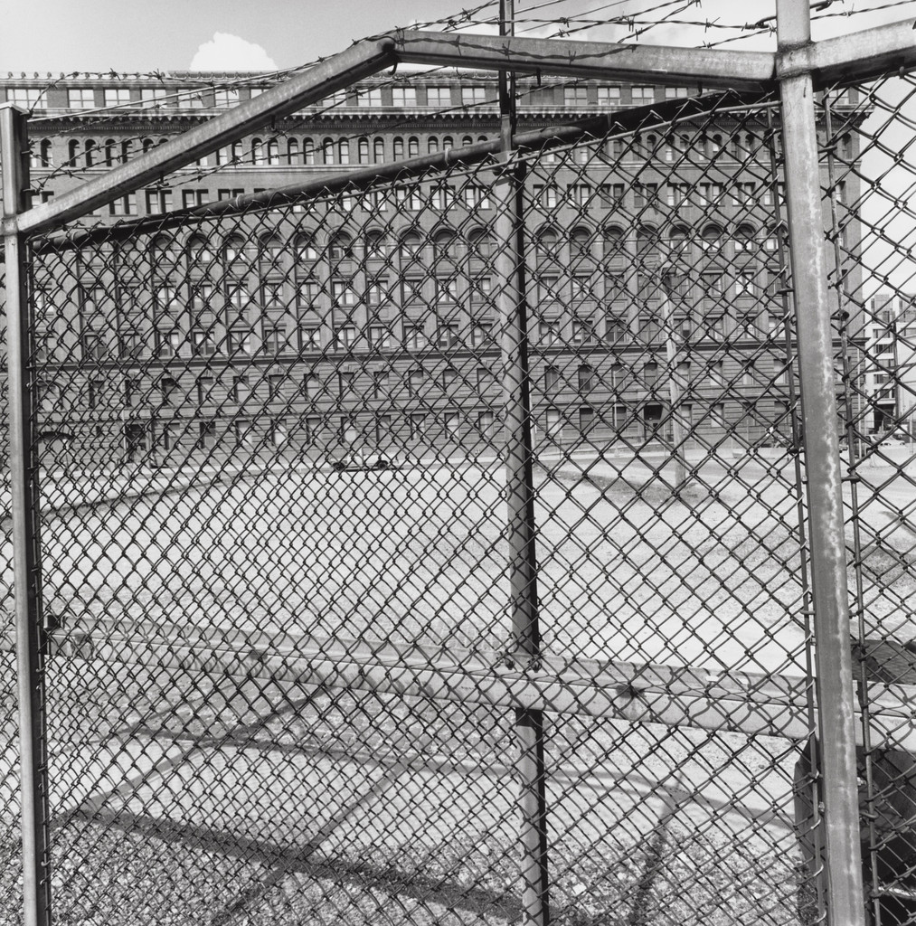 Washington, D.C., Lee Friedlander, 2001
