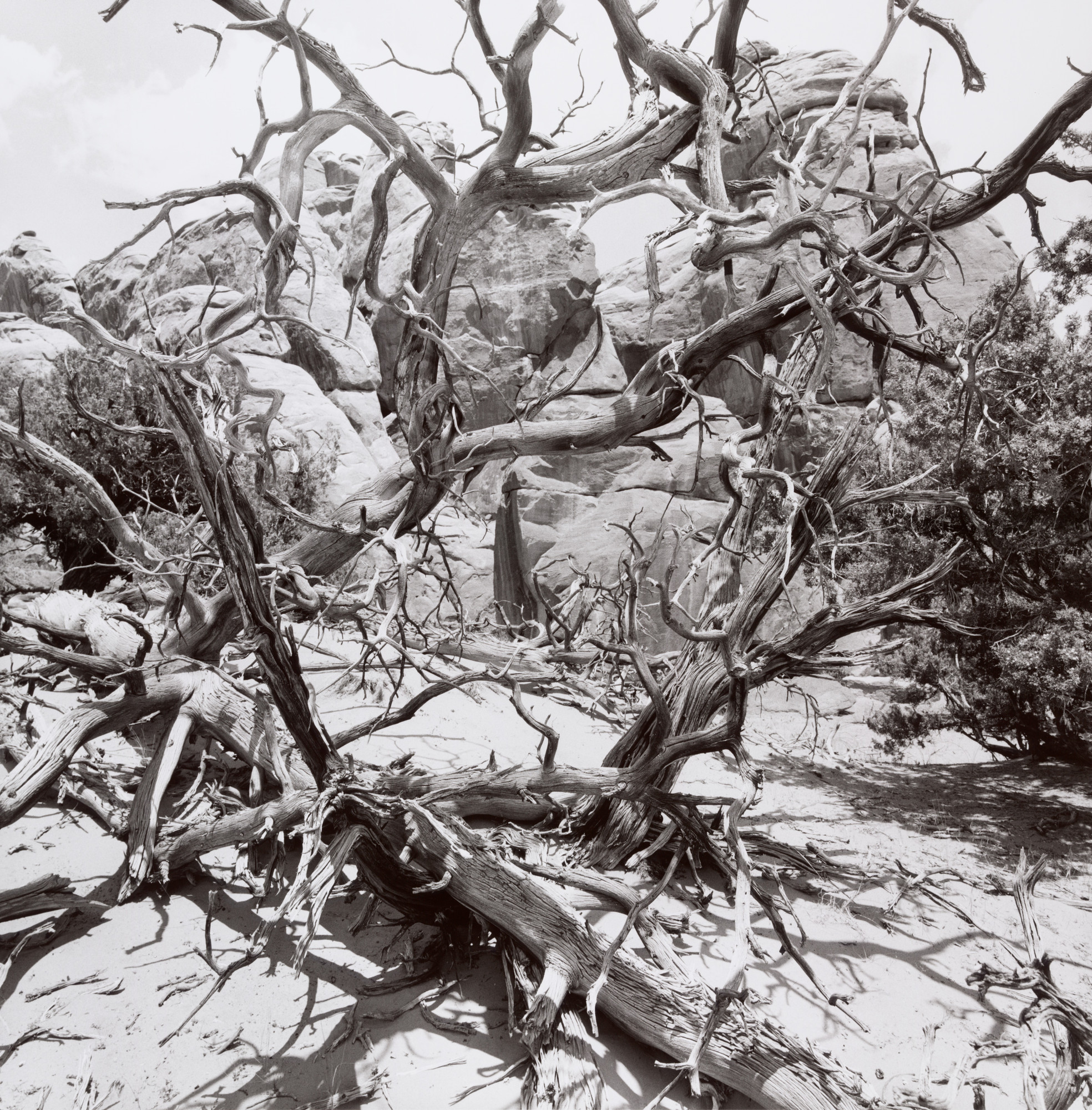 Lee Friedlander. Moab, Utah