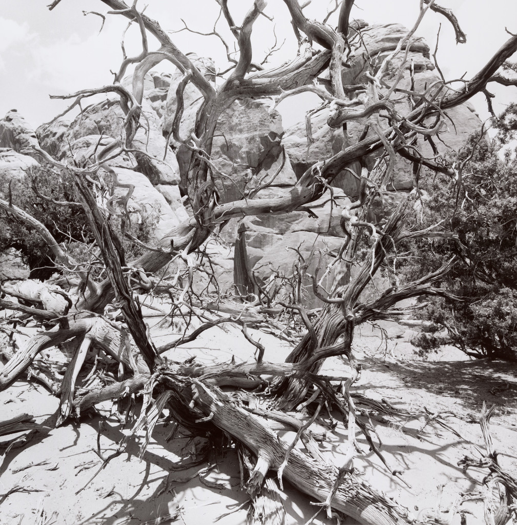 Moab, Utah, Lee Friedlander, 1993
