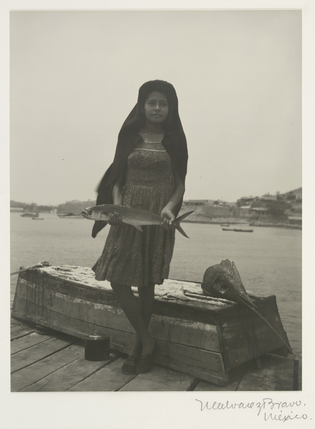 Manuel Álvarez Bravo. Un pez que llaman sierra (A Fish Called Sierra). 1944