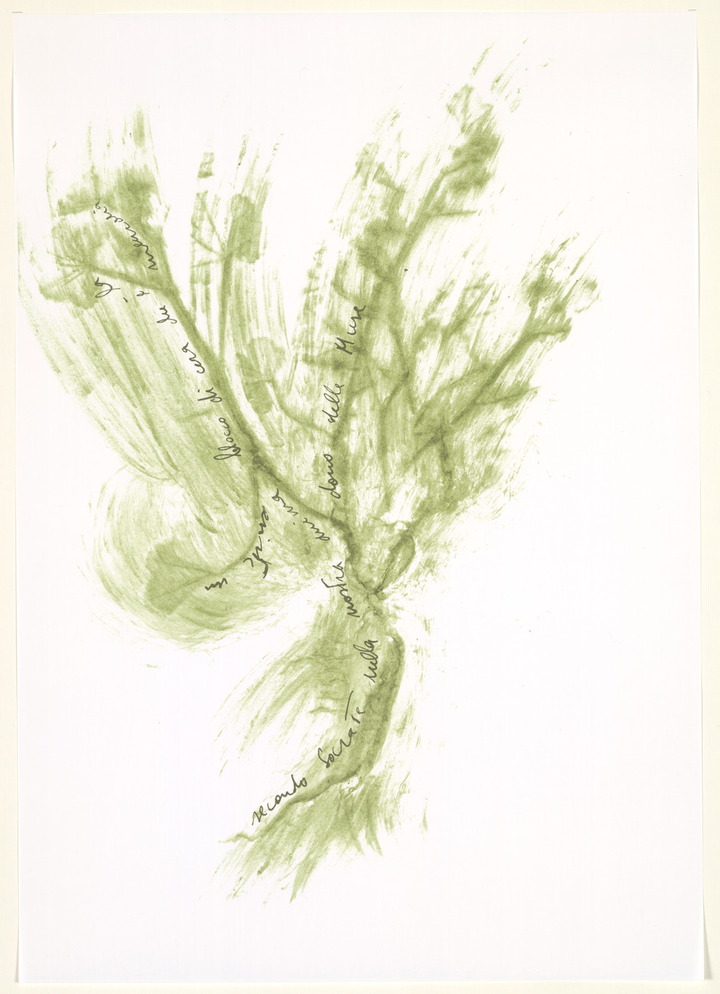 Giuseppe Penone. Untitled from Thirty-Three Herbs (Trentatre Erbe). 1989