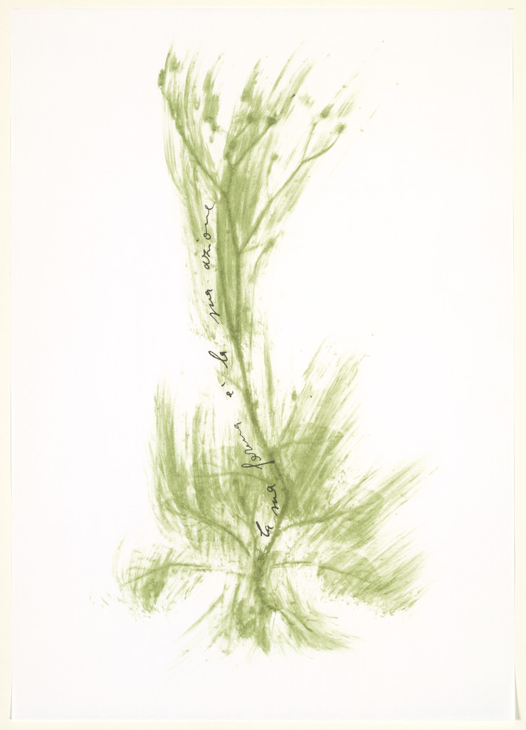 Untitled from Thirty-Three Herbs (Trentatre Erbe) by Giuseppe Penone