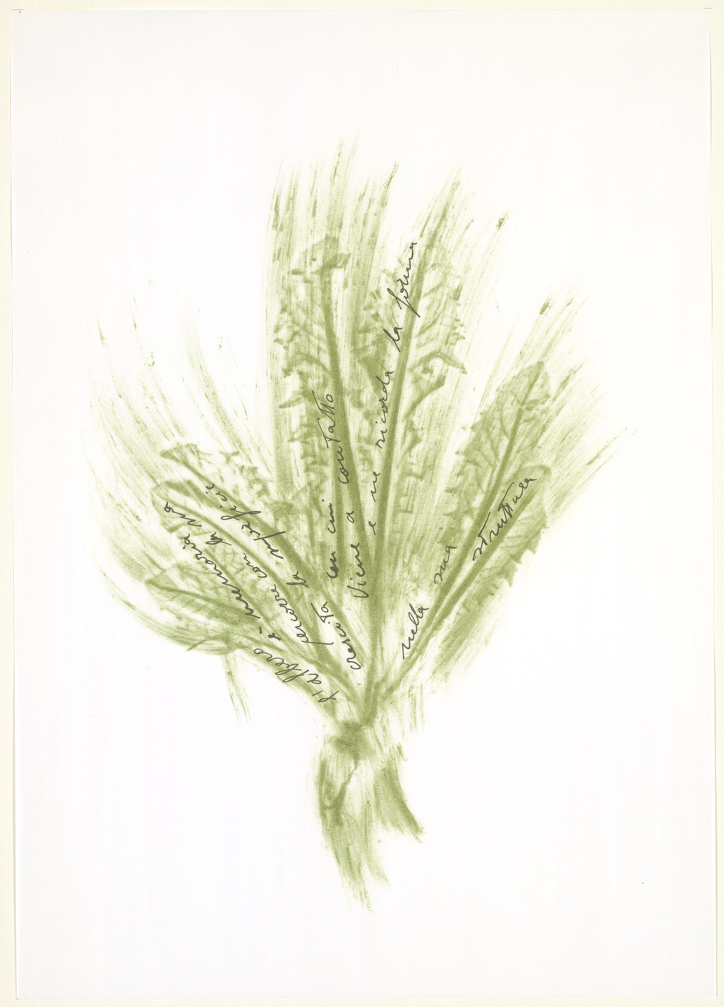 Giuseppe Penone. Untitled from Thirty-Three Herbs (Trentatre Erbe). 1989