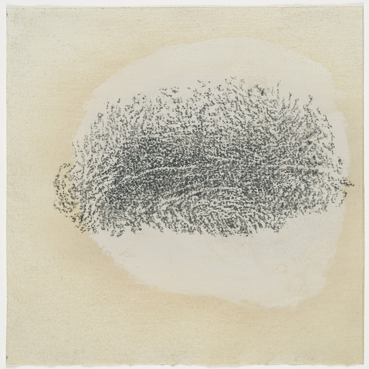 Giuseppe Penone. Untitled (No. 5). (1981)