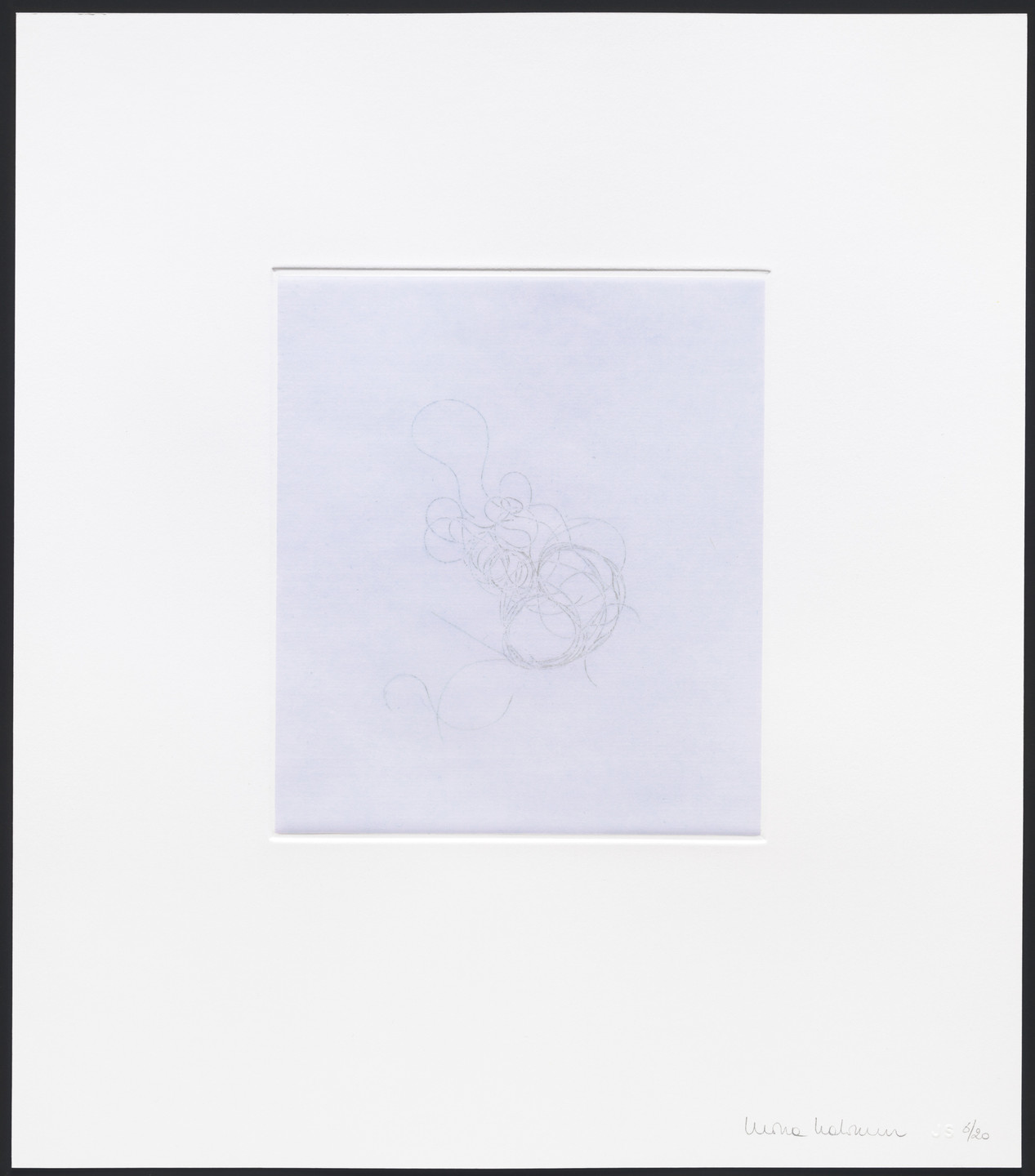 Mona Hatoum. Untitled from hair there and everywhere. 2004