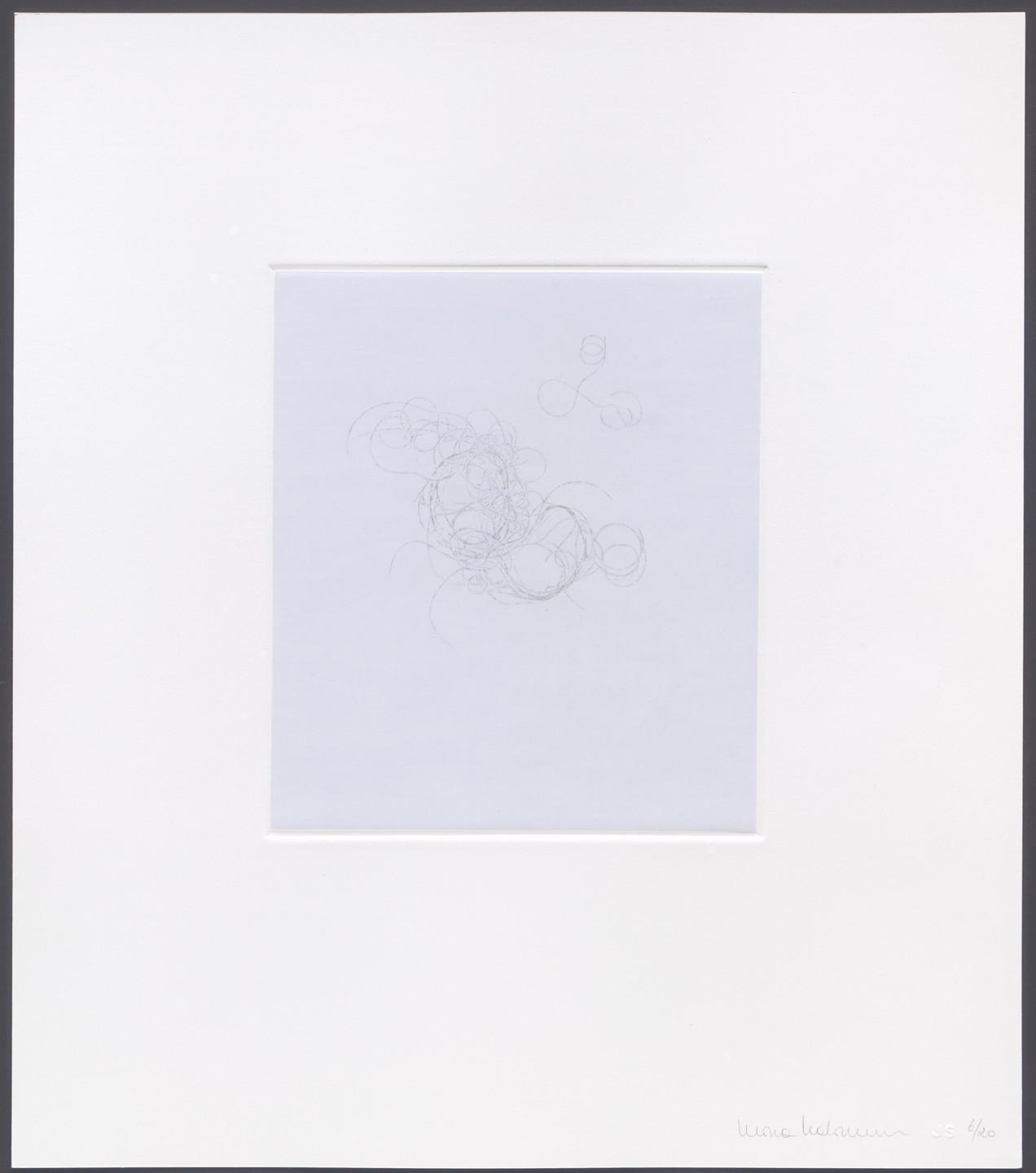 Mona Hatoum. Untitled from hair there and everywhere. 2004