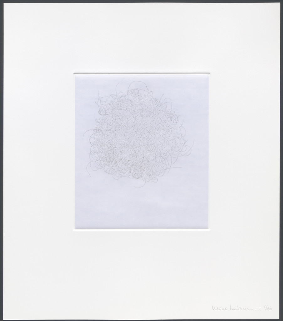Untitled from hair there and every where, Mona Hatoum, 2004
