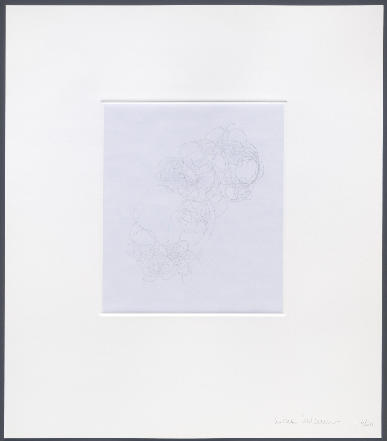 Mona Hatoum. Untitled from hair there and everywhere. 2004