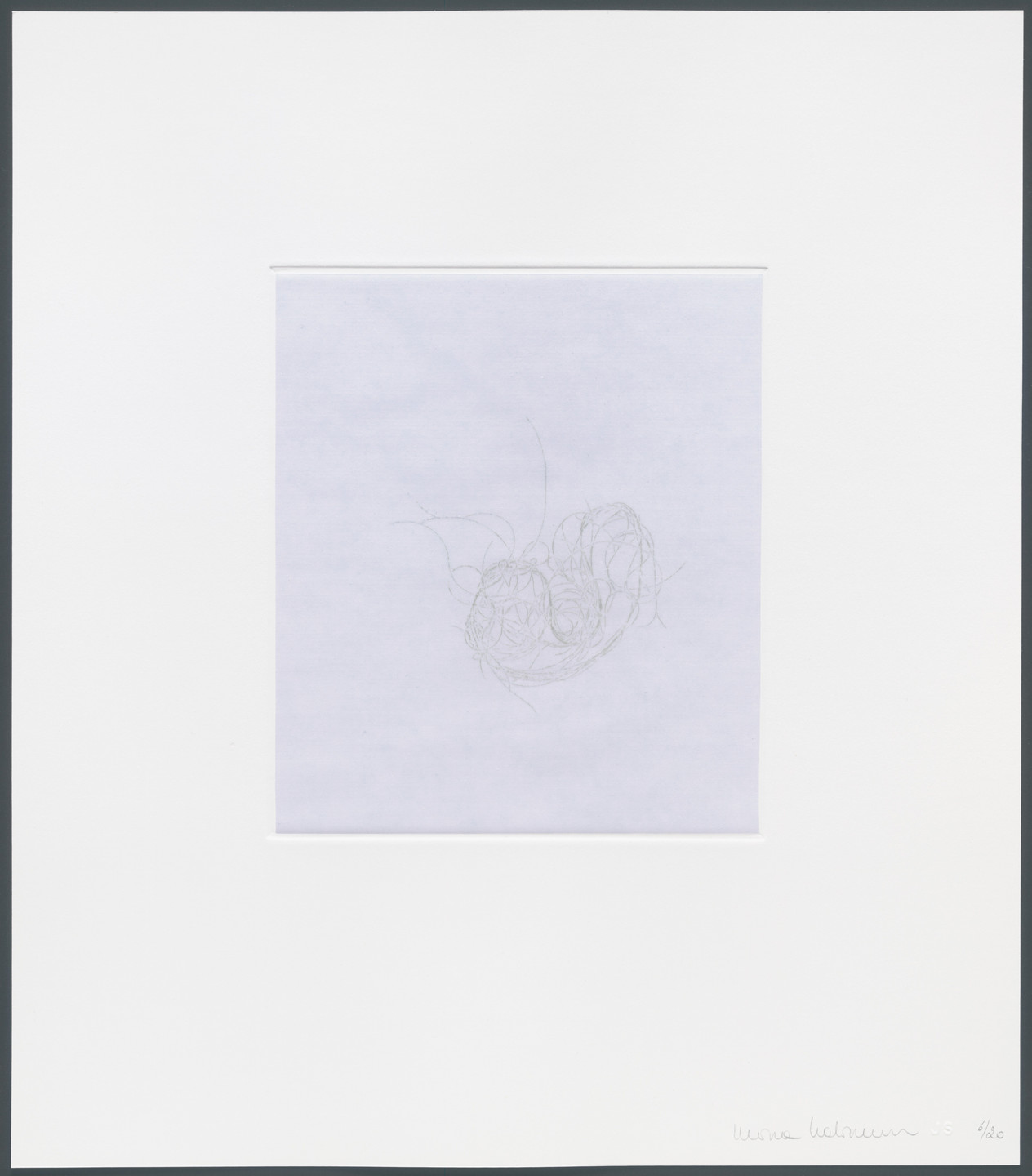 Mona Hatoum. Untitled from hair there and everywhere. 2004