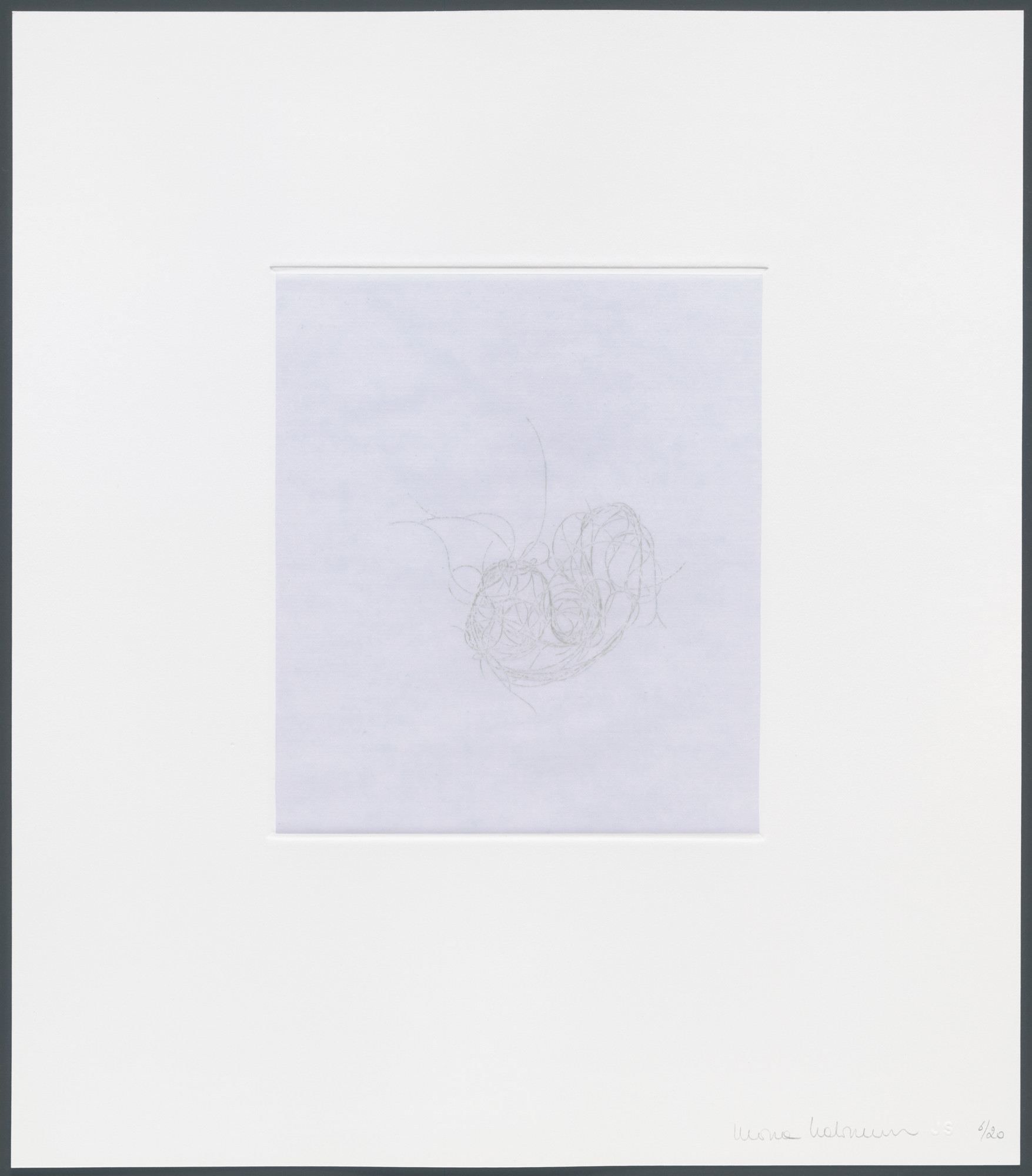 Mona Hatoum. Untitled from hair there and everywhere