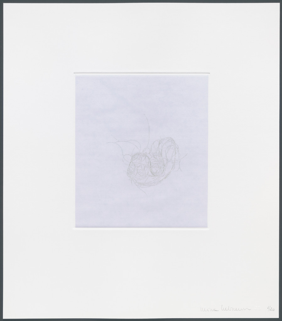 Untitled from hair there and everywhere, Mona Hatoum, 2004