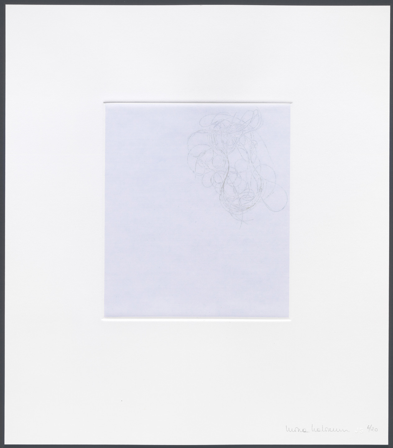 Mona Hatoum. Untitled from hair there and everywhere. 2004