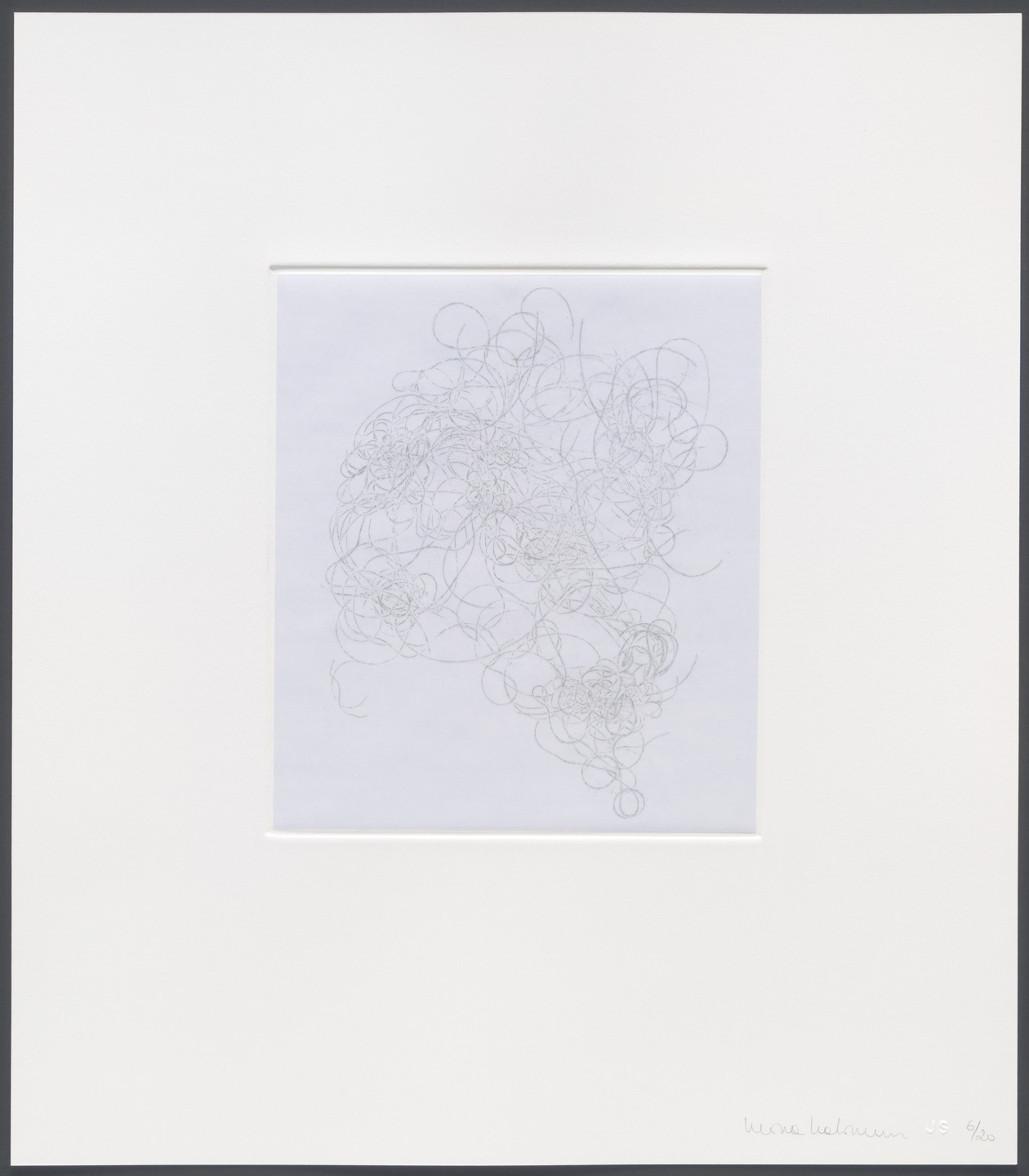 Mona Hatoum. Untitled from hair there and every where. 2004
