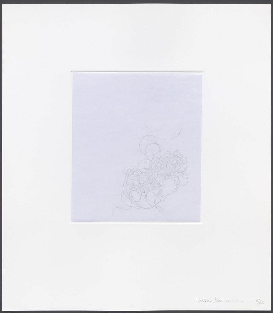 Untitled from hair there and everywhere, Mona Hatoum, 2004