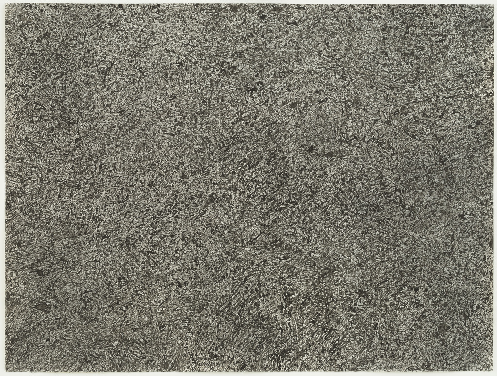 Epidermis (Épiderme)