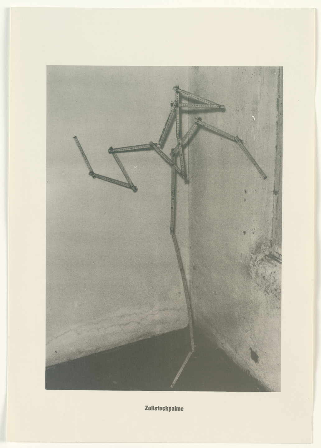 Sigmar Polke, Christof Kohlhöfer. Measuring Stick Palm Tree (Zollstockpalme) from The Palm Tree Series (Palmenserie) from .....Higher Beings Ordain (.....Höhere Wesen befehlen). 1966, published 1968