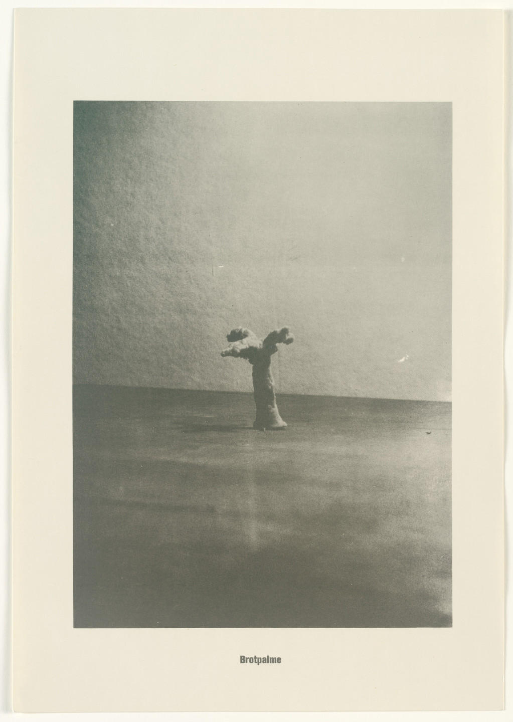 Sigmar Polke, Christof Kohlhöfer. Bread Palm Tree (Brotpalme) from the Palm Tree Series (Palmenserie) from .....Higher Beings Ordain (.....Höhere Wesen befehlen). 1966, published 1968