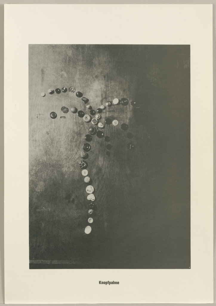 Button Palm Tree (Knopfpalme) from the Palm Tree Series (Palmenserie) from .....Higher Beings Ordain (.....Höhere Wesen befehlen)