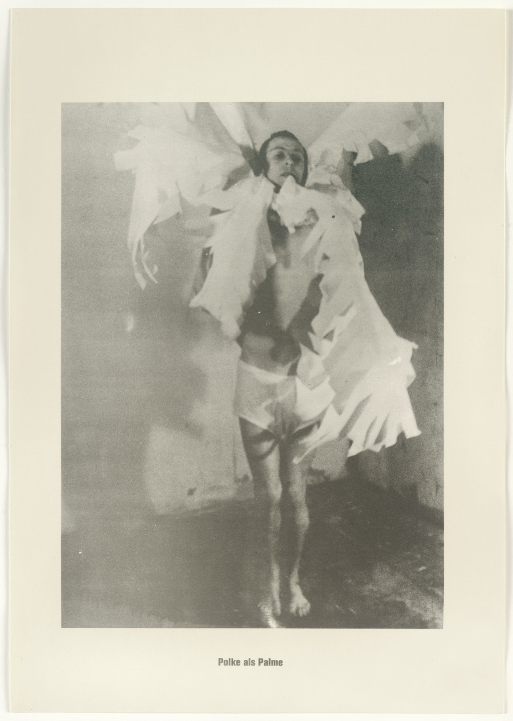 Sigmar Polke, Christof Kohlhöfer. Men Palm Tree (Menschenpalme) from the Palm Tree Series (Palmenserie) from .....Higher Beings Ordain (.....Höhere Wesen befehlen). 1966, published 1968