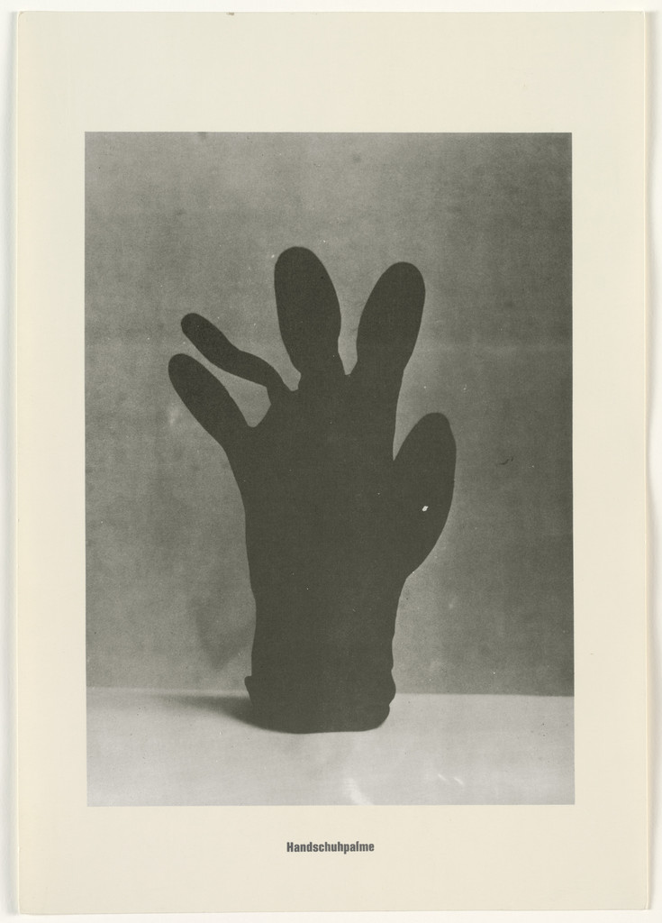 Glove Palm Tree (Handschuhpalme) from the Palm Tree Series (Palmenserie) from .....Higher Beings Ordain (.....Höhere Wesen befehlen)