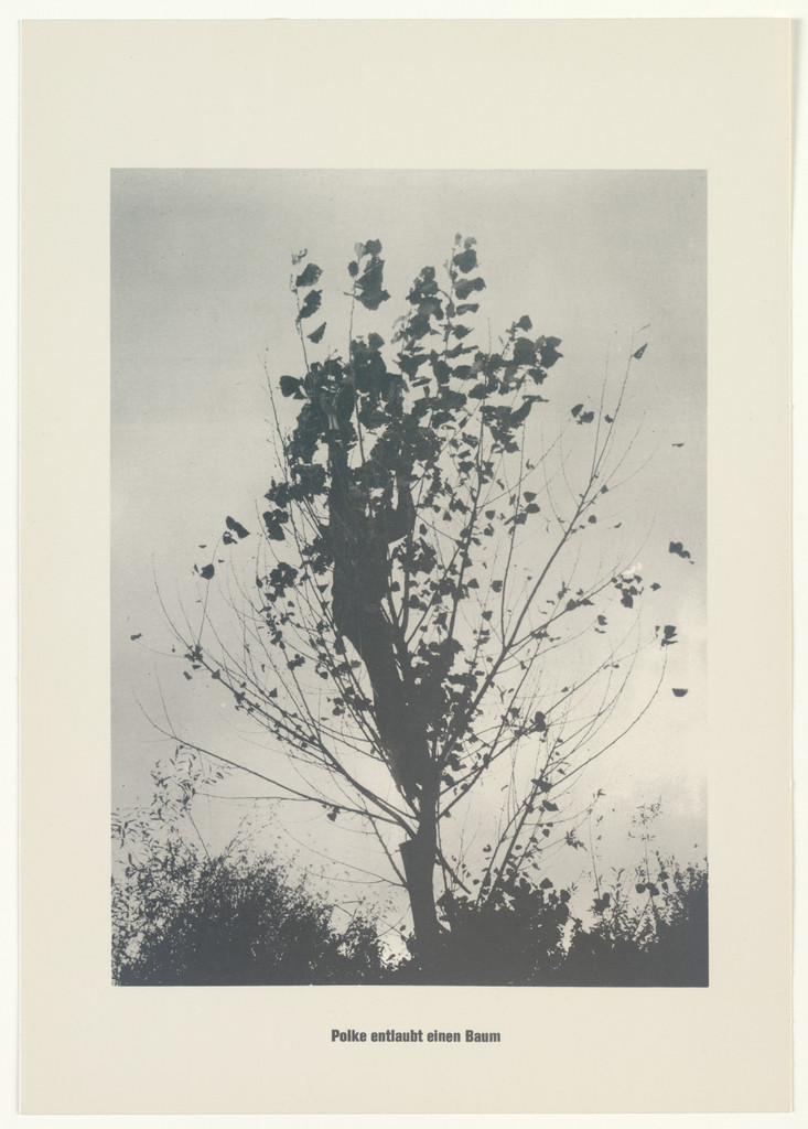 The Defoliation of a Tree (Das Entblättern eines Baumes) from .....Higher Beings Ordain (.....Höhere Wesen befehlen)