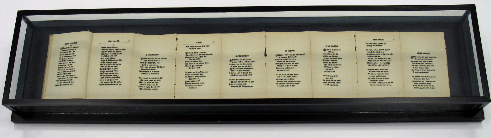 Ann Hamilton. Untitled. (1992)