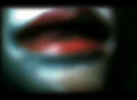 Ann Hamilton. phora 7. 2005
