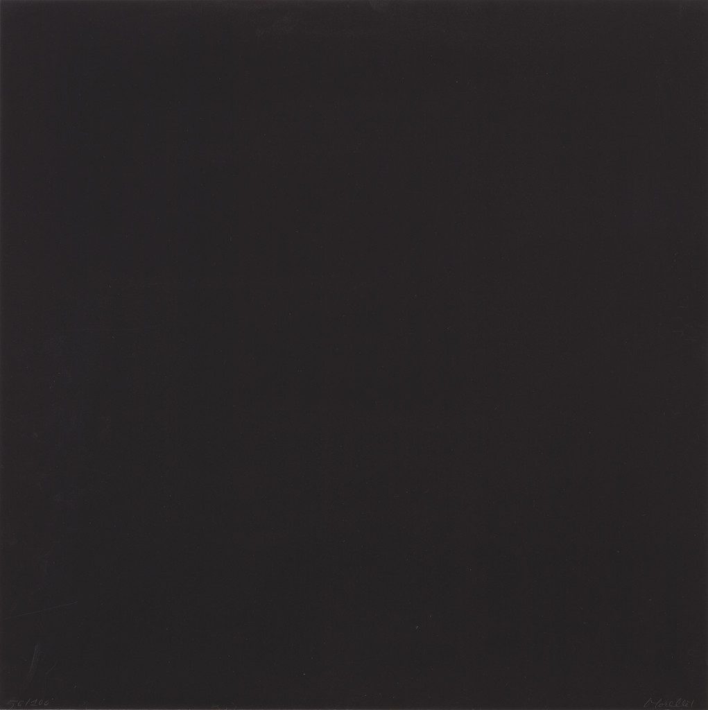 8 Trames 0°90° ( 8 Wefts 0°90° )