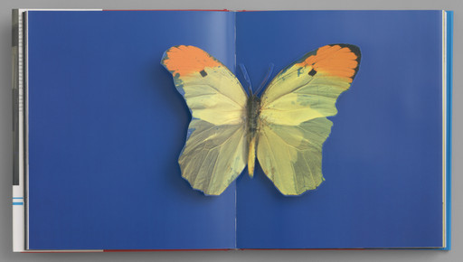 Damien Hirst. I Want to Spend the Rest of My Life Everywhere, with