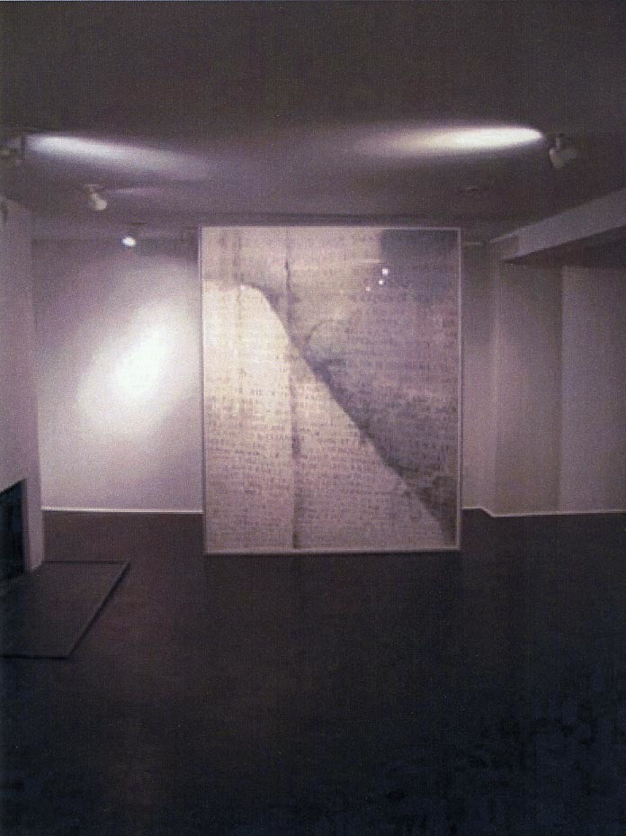 Fiona Banner. Nude Standing. 2006