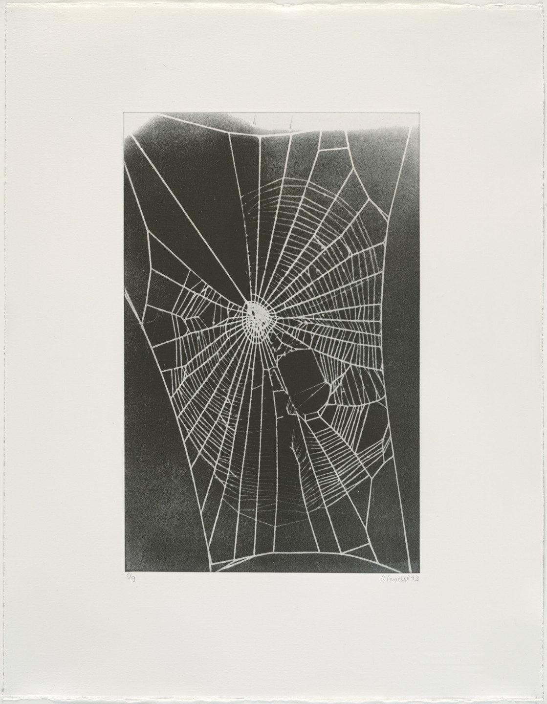 Rosemarie Trockel. Untitled from What It Is like to Be What You Are Not. 1993