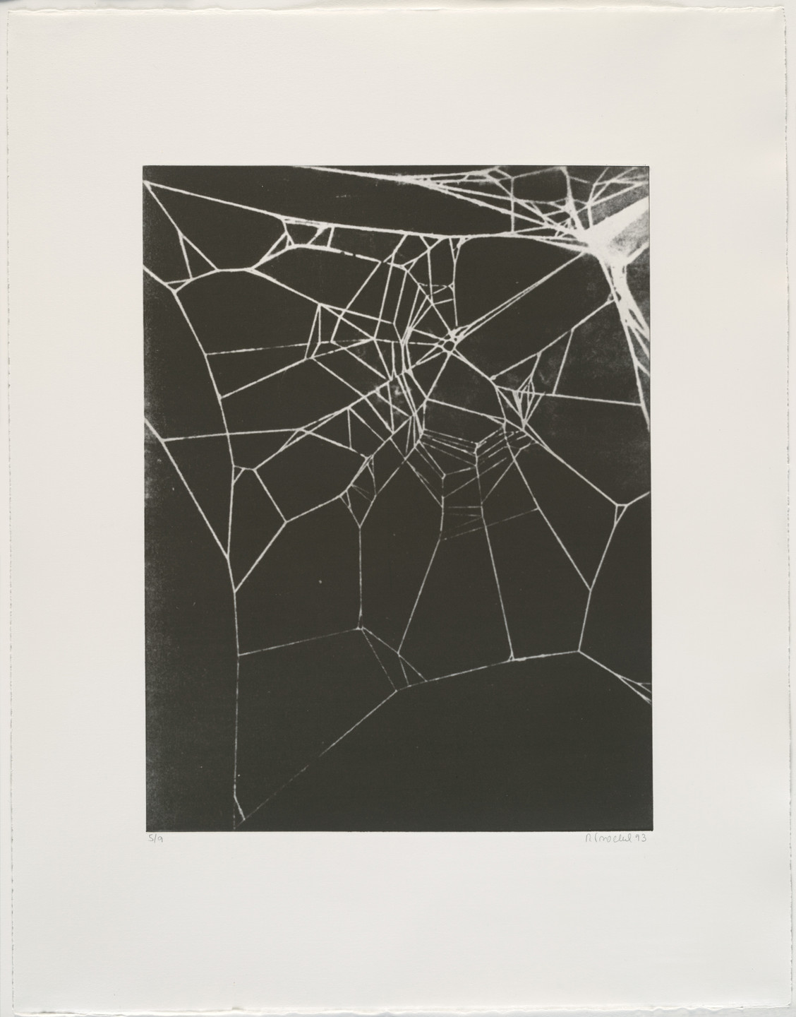 Rosemarie Trockel. Untitled from What It Is like to Be What You Are Not. 1993