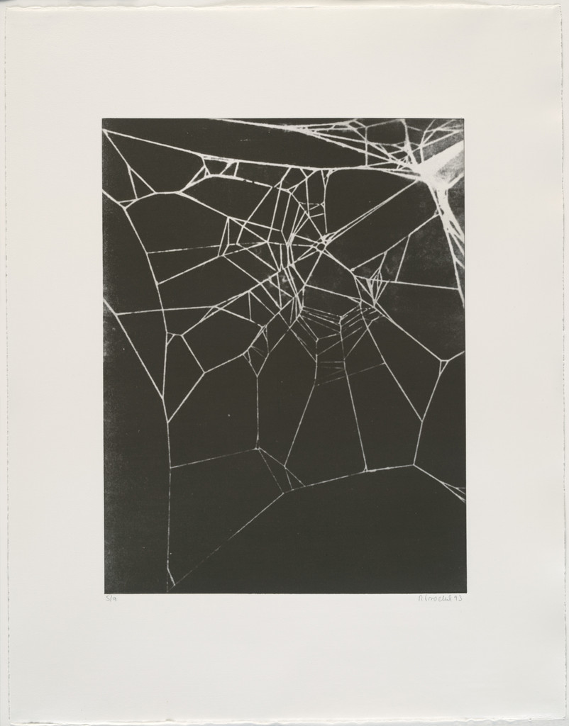 Untitled from What It Is like to Be What You Are Not