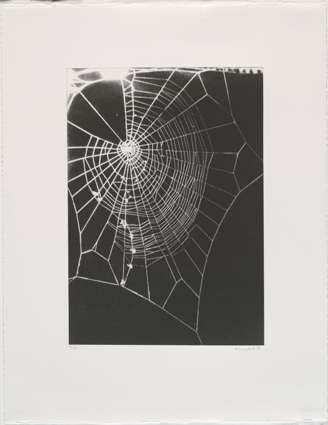 Rosemarie Trockel. Untitled from What It Is like to Be What You Are Not. 1993