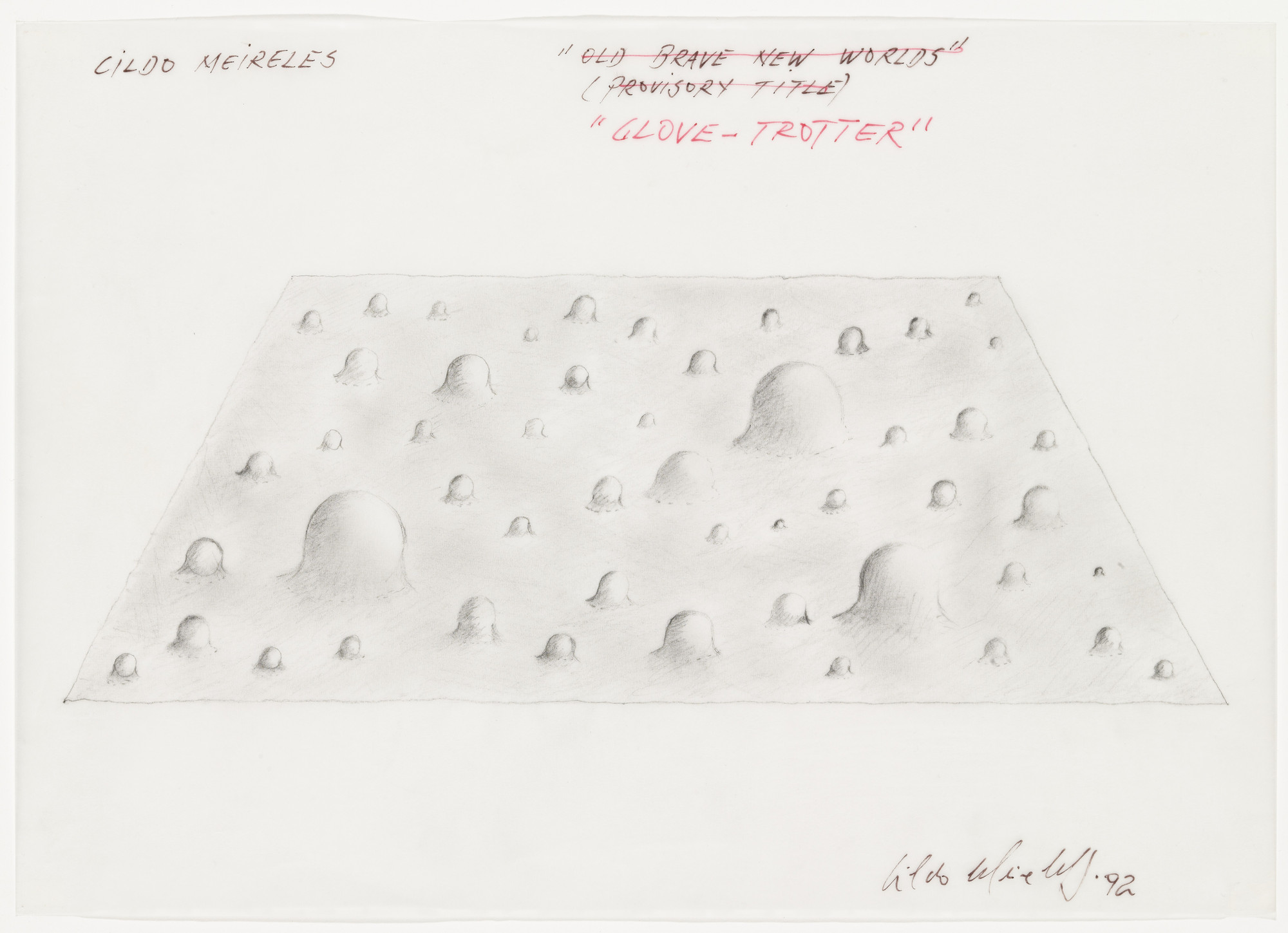 Cildo Meireles. Glove-Trotter