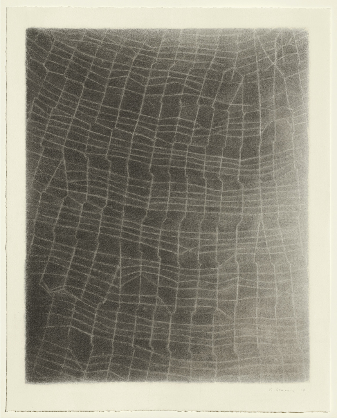 Vija Celmins. Web #8. 2004
