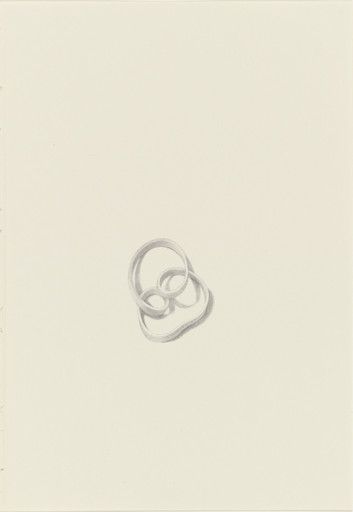 Untitled from the series 'Ten Thousand Things That Breathe'