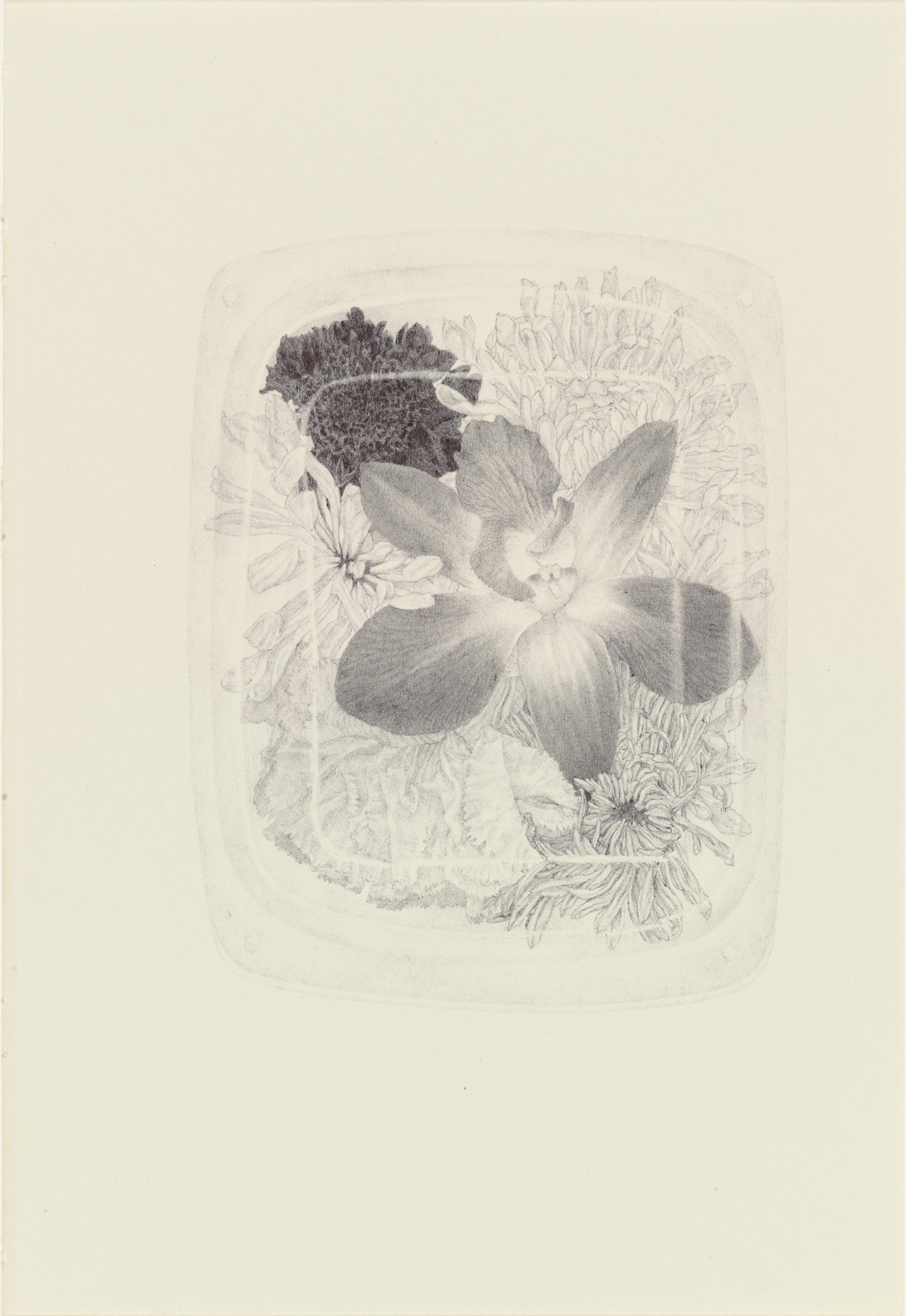 Renato Orara. Untitled from the series 'Ten Thousand Things That Breathe'