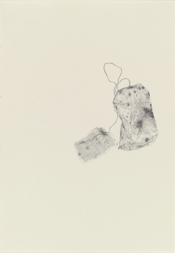 Untitled from the series 'Ten Thousand Things That Breathe'