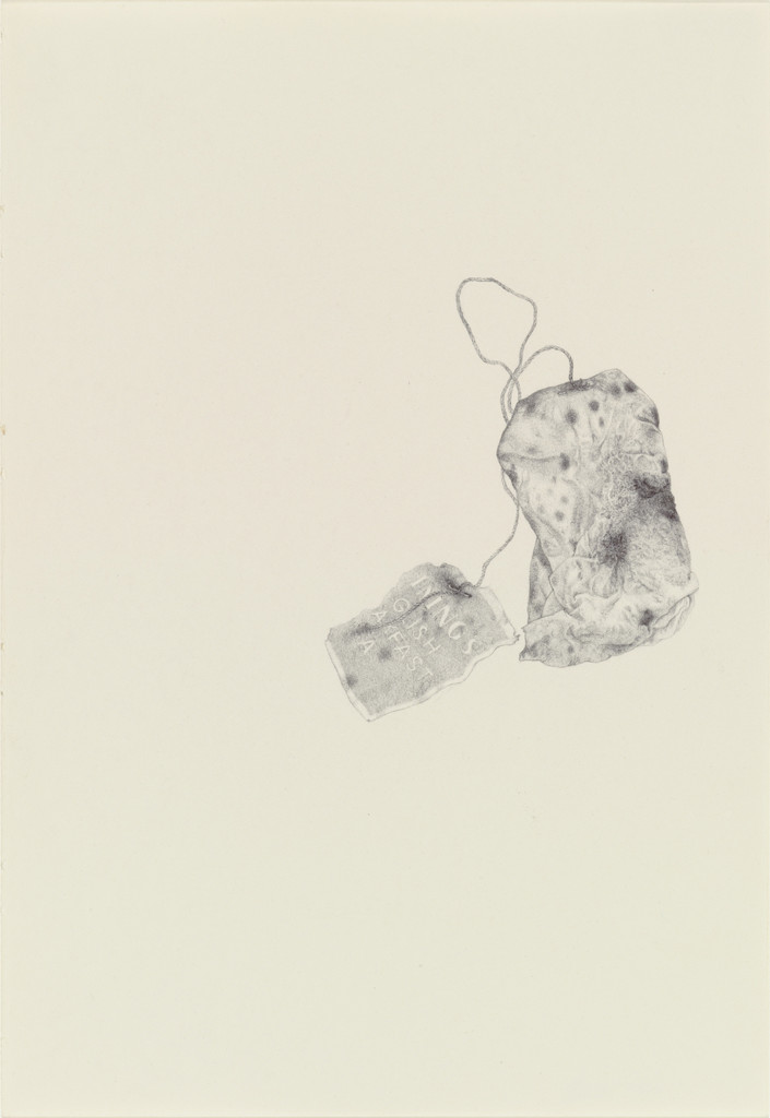 Untitled from the series 'Ten Thousand Things That Breathe'