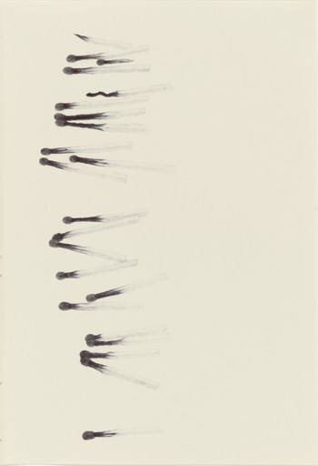 Untitled from the series 'Ten Thousand Things That Breathe'