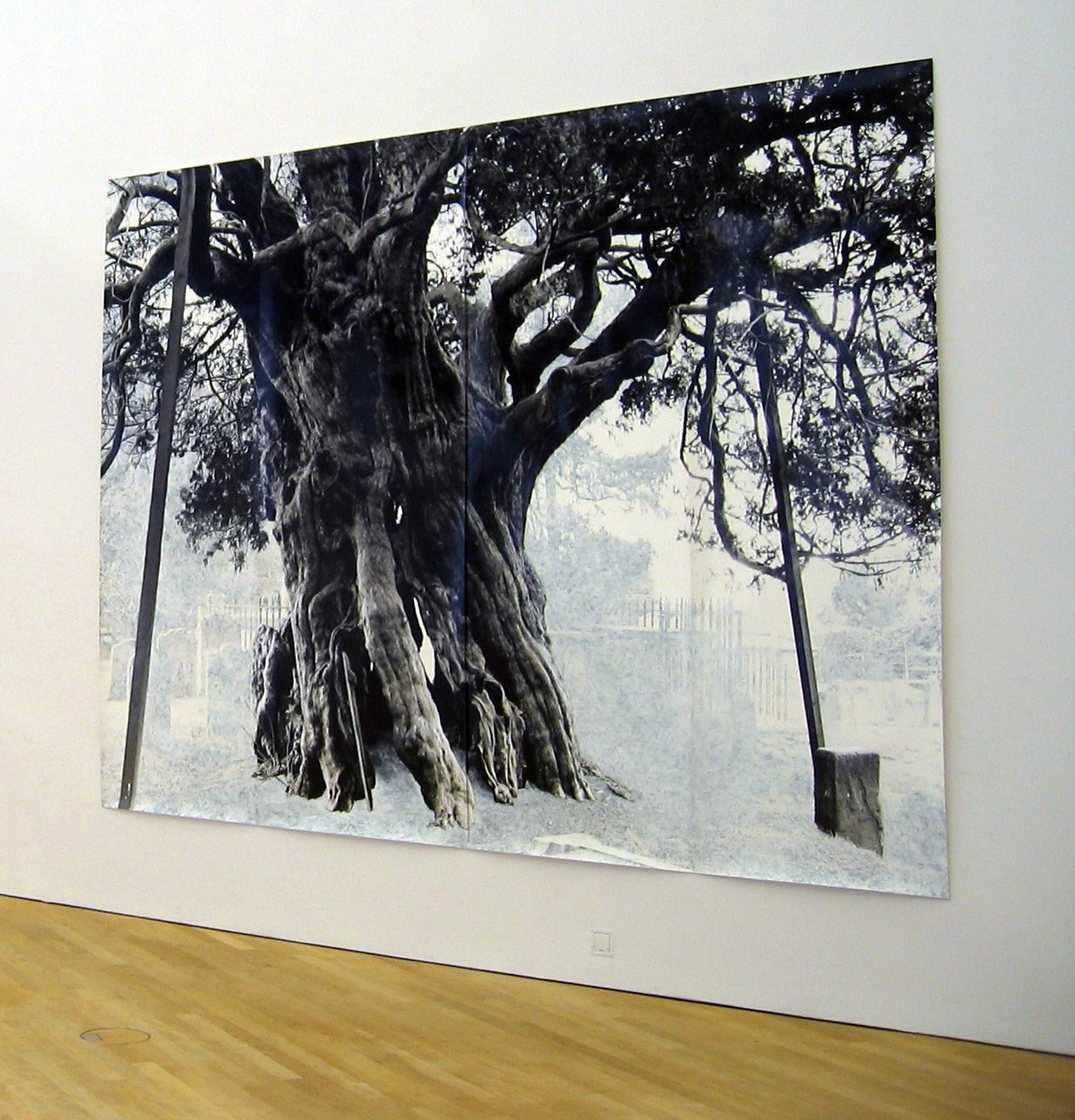 Tacita Dean. Crowhurst. (2006)
