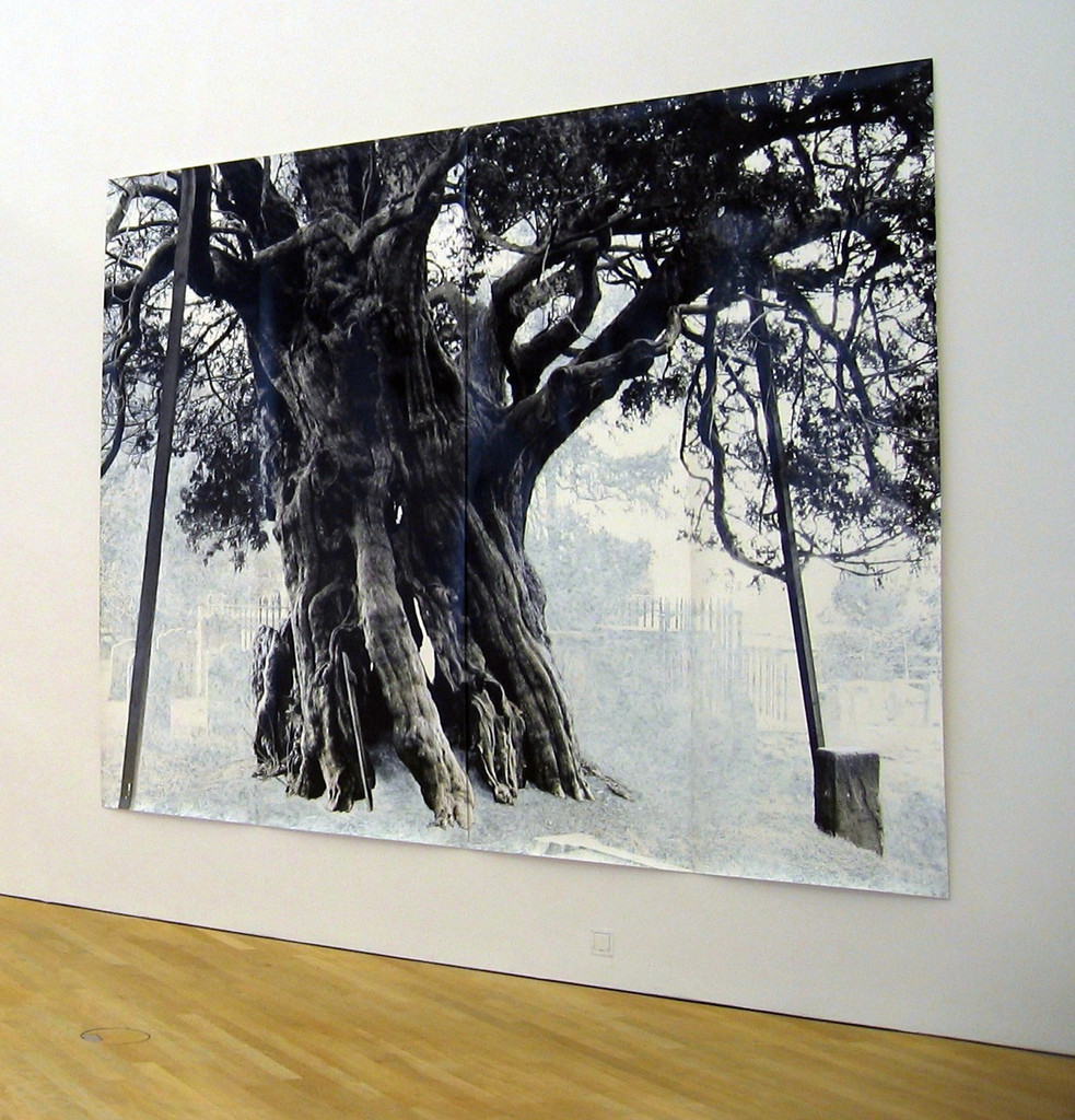 Crowhurst, Tacita Dean, (2006)