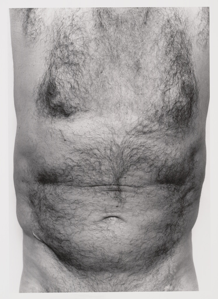 Torso, Front